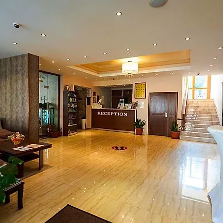 Paradise 3* Дорково